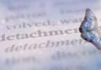 law of detachment